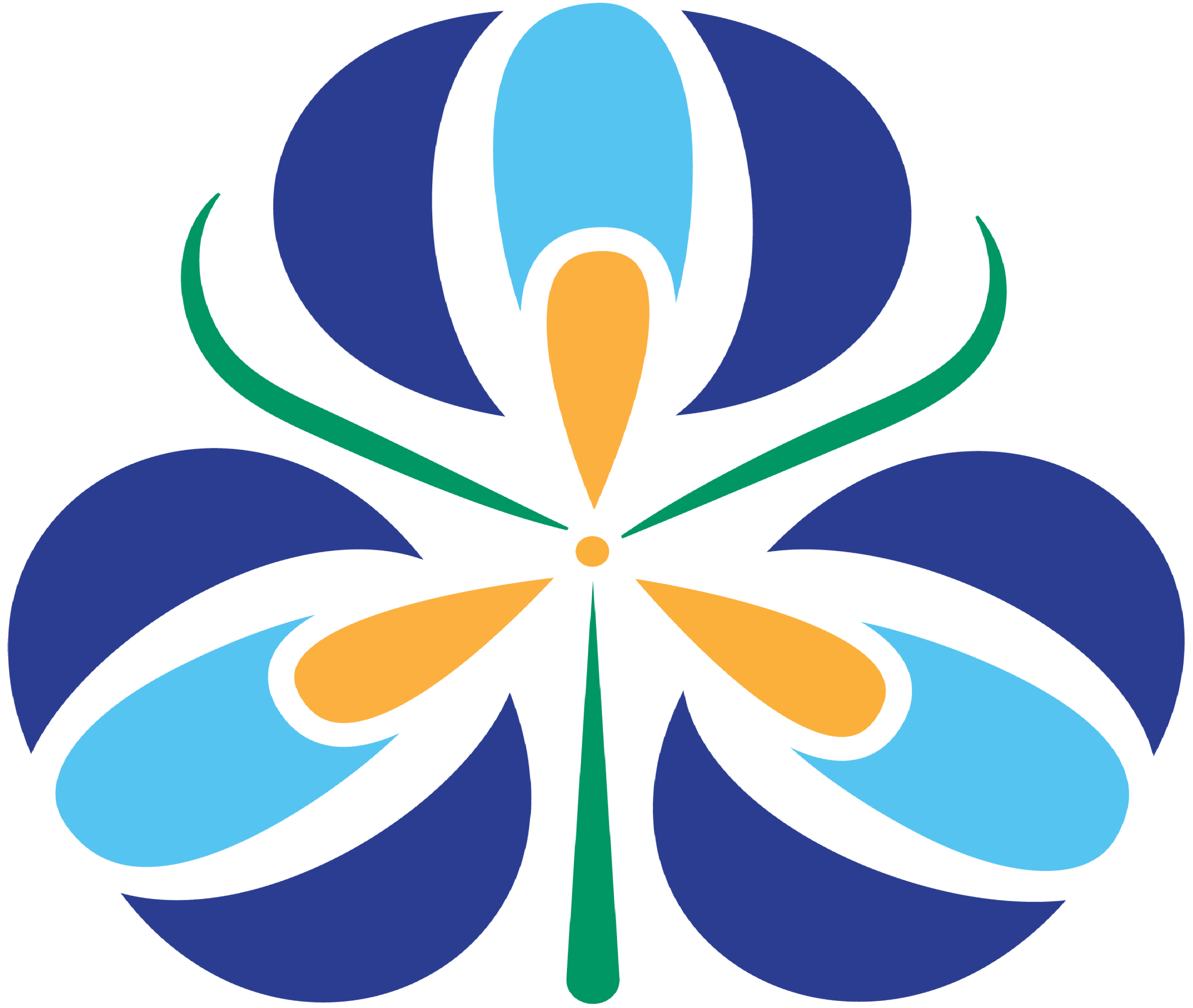 The World through My Eyes.