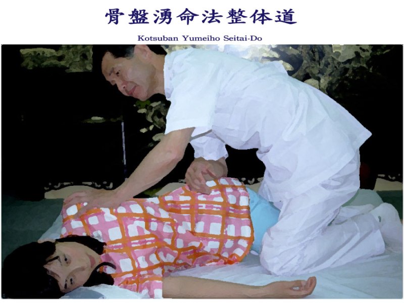 DESPRE YUMEIHO –&nbsp;SEITAI